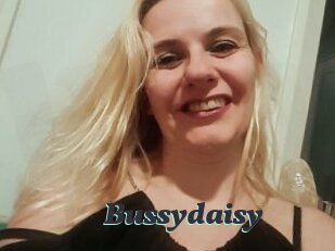 Bussydaisy