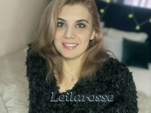 Leilarosse