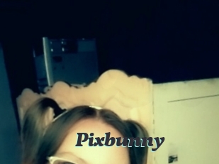 Pixbunny