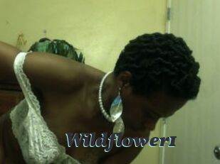 Wildflower1